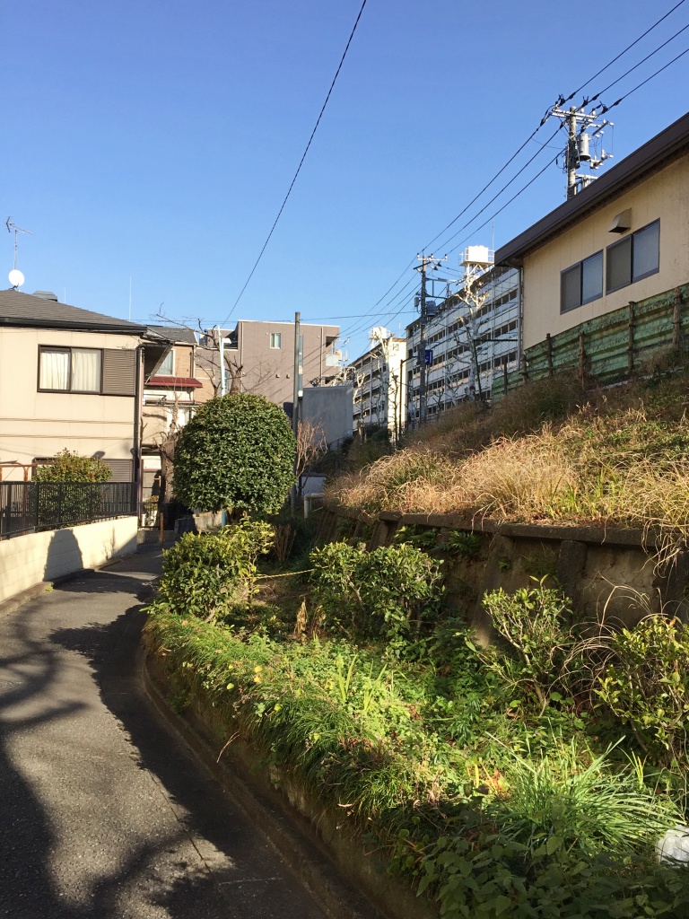 f:id:miwa3k:20180126175047j:plain