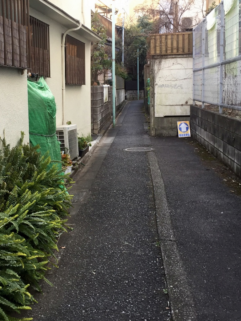 f:id:miwa3k:20180126175104j:plain