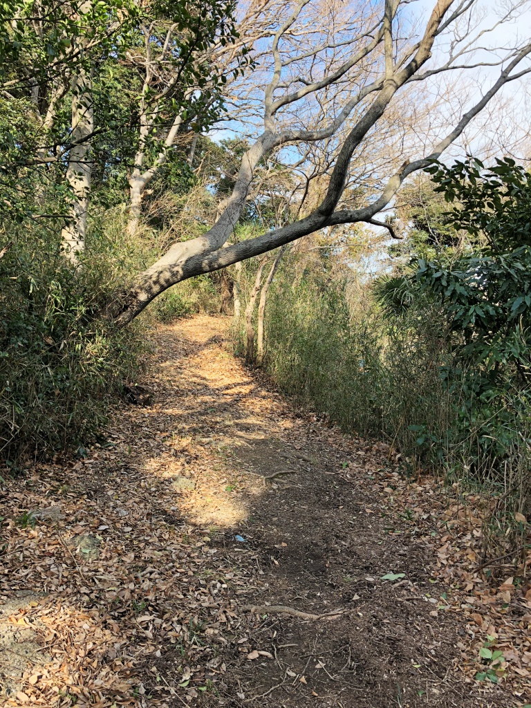 f:id:miwa3k:20180205182624j:plain