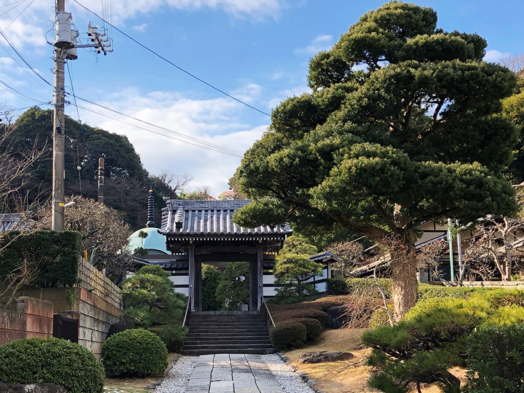 f:id:miwa3k:20180205182630j:plain
