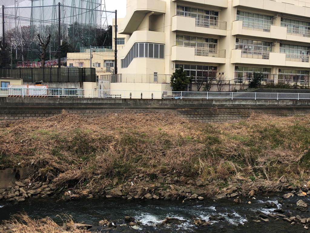 f:id:miwa3k:20180217104629j:plain f:id:miwa3k:20180217104629j:plain