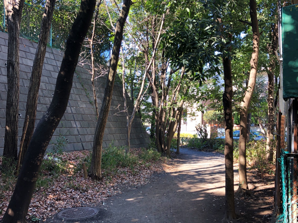 f:id:miwa3k:20180219185353j:plain f:id:miwa3k:20180219185353j:plain