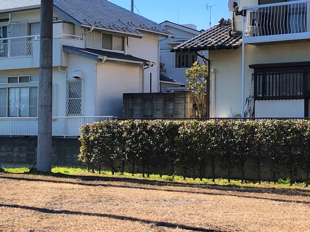 f:id:miwa3k:20180219185403j:plain f:id:miwa3k:20180219185403j:plain
