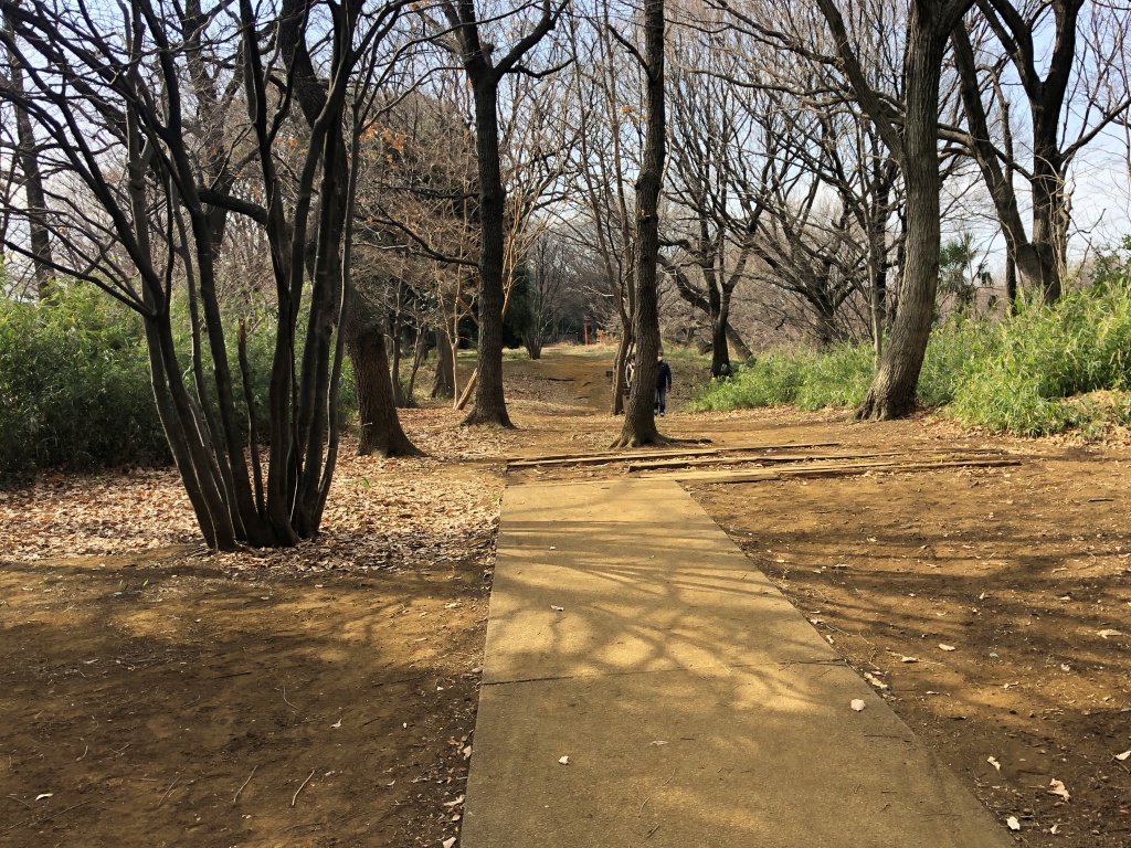 f:id:miwa3k:20180222135122j:plain