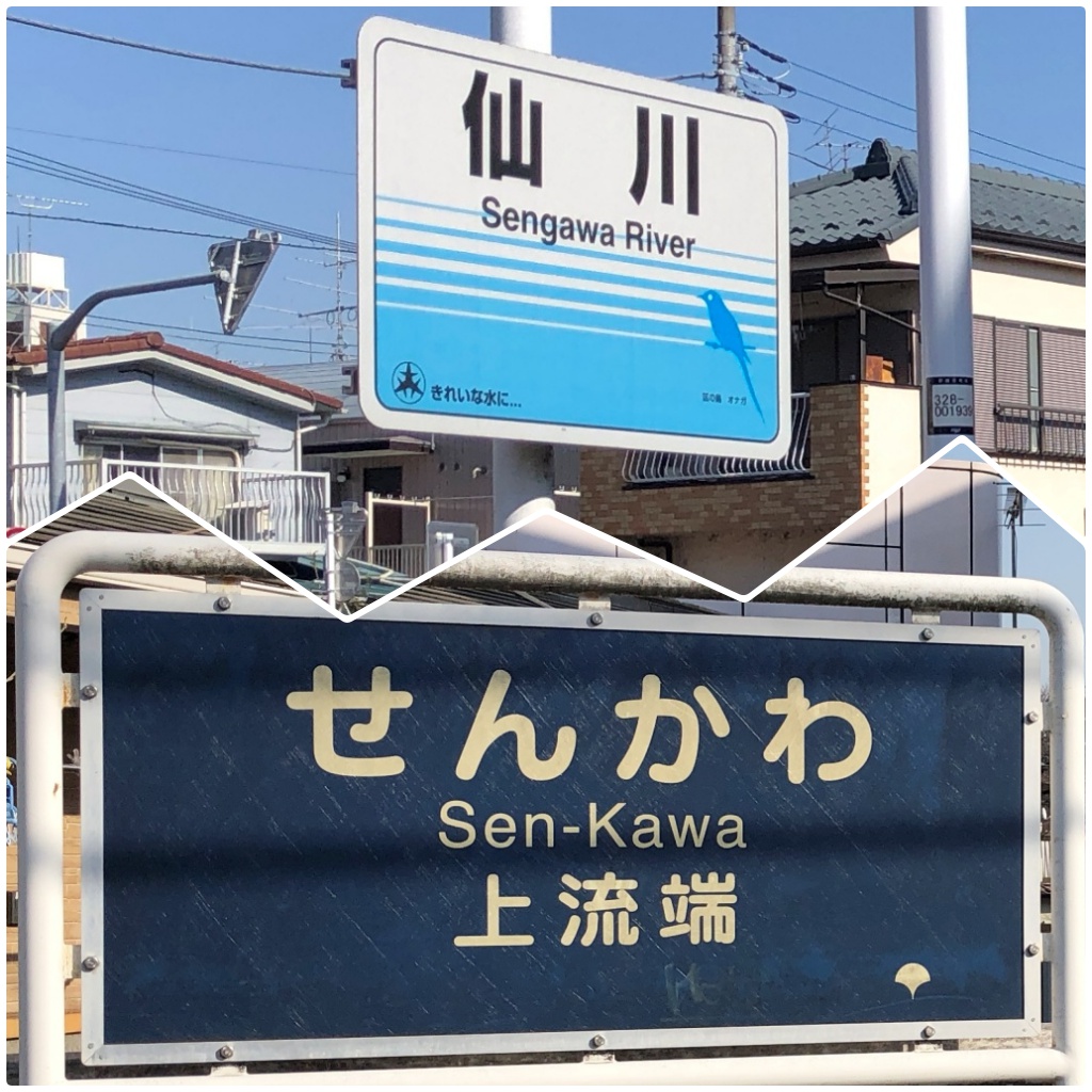 仙川を歩く 野川合流点からさかのぼって上流端まで その1 散歩の途中 仙川を歩く 野川合流点からさかのぼって上流端まで その1 散歩の途中