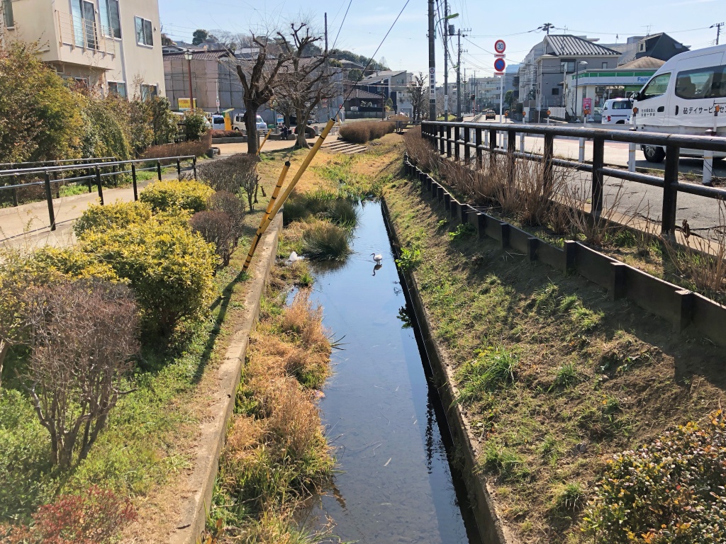 f:id:miwa3k:20180226131324j:plain f:id:miwa3k:20180226131324j:plain