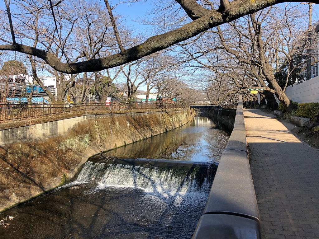 f:id:miwa3k:20180226131329j:plain f:id:miwa3k:20180226131329j:plain