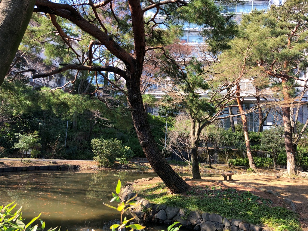 f:id:miwa3k:20180226131330j:plain f:id:miwa3k:20180226131330j:plain