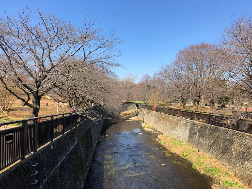 f:id:miwa3k:20180226131333j:plain