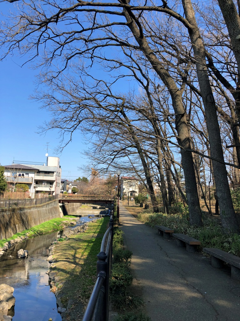 f:id:miwa3k:20180226131341j:plain f:id:miwa3k:20180226131341j:plain