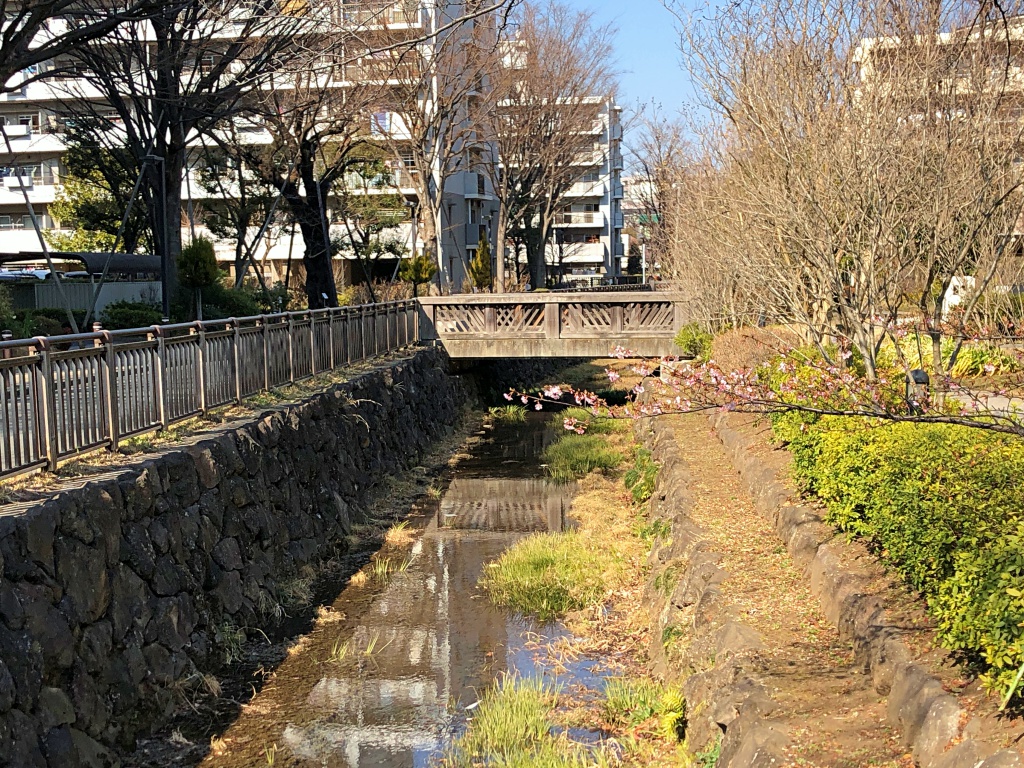 f:id:miwa3k:20180228152448j:plain