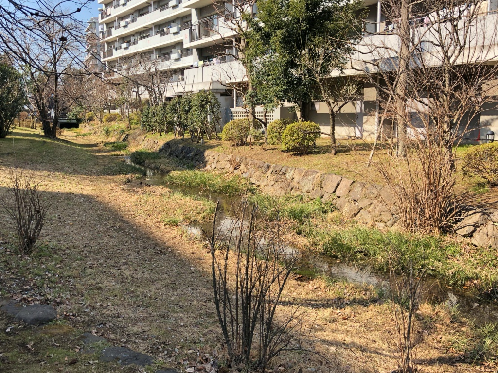 f:id:miwa3k:20180228152449j:plain