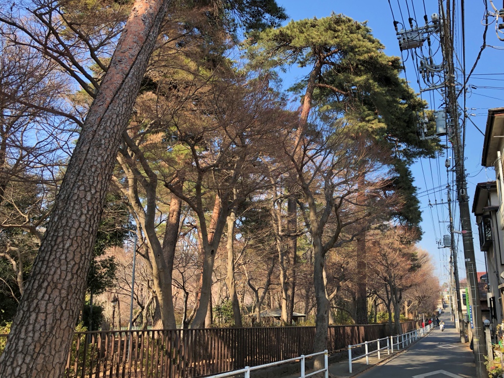 f:id:miwa3k:20180228152453j:plain