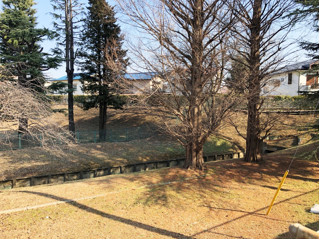 f:id:miwa3k:20180228152459j:plain