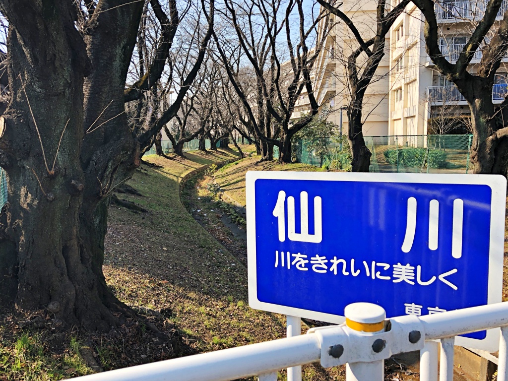 f:id:miwa3k:20180228152500j:plain