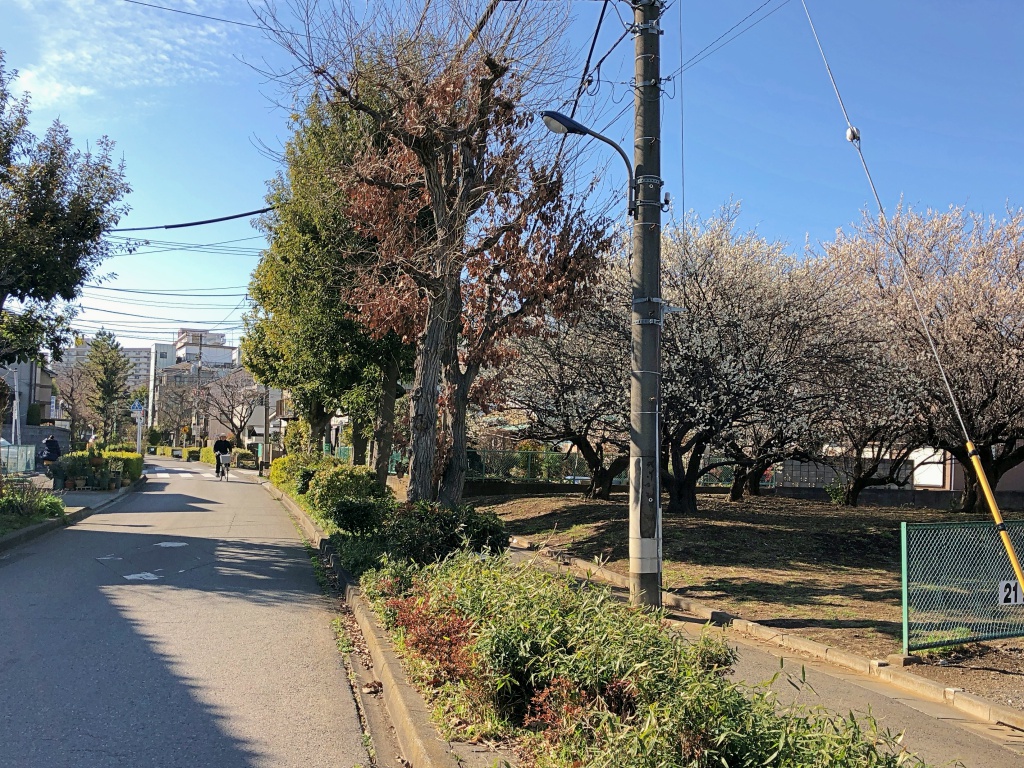 f:id:miwa3k:20180309160213j:plain f:id:miwa3k:20180309160213j:plain