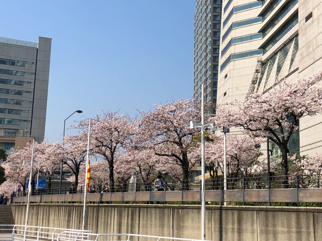 f:id:miwa3k:20180329155011j:plain