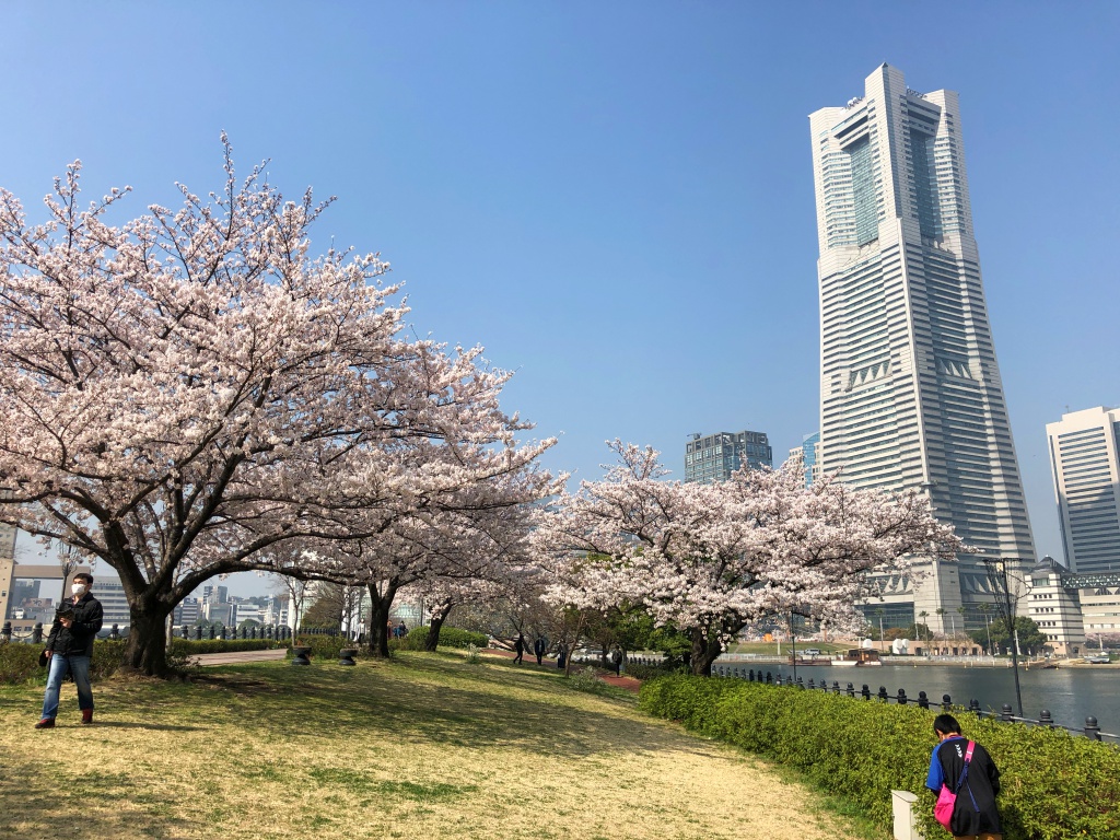 f:id:miwa3k:20180329155017j:plain