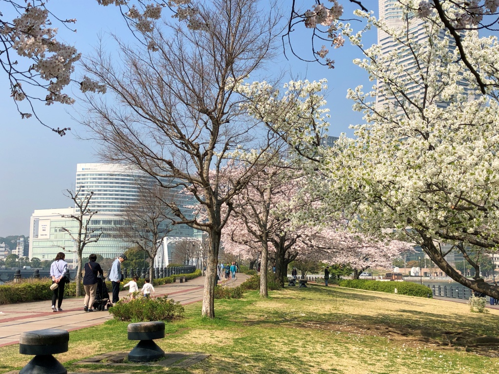 f:id:miwa3k:20180329155018j:plain