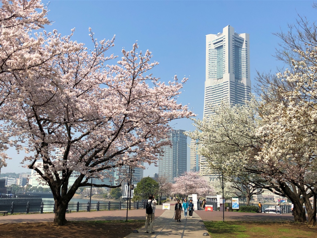 f:id:miwa3k:20180329155020j:plain