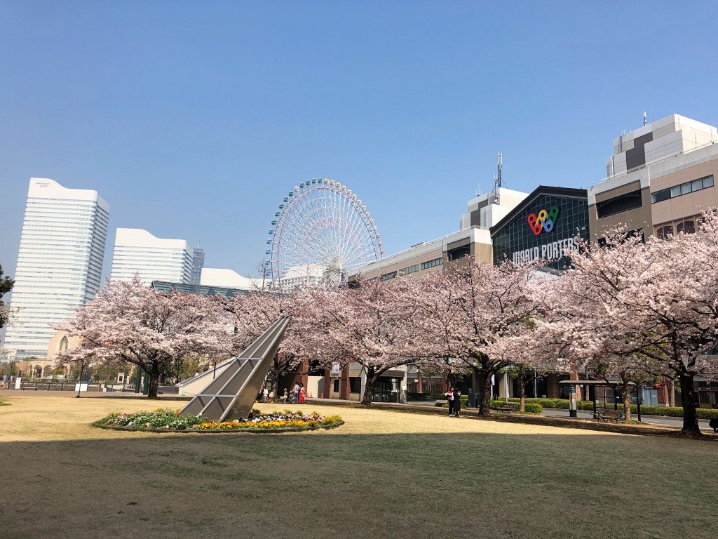 f:id:miwa3k:20180329155021j:plain