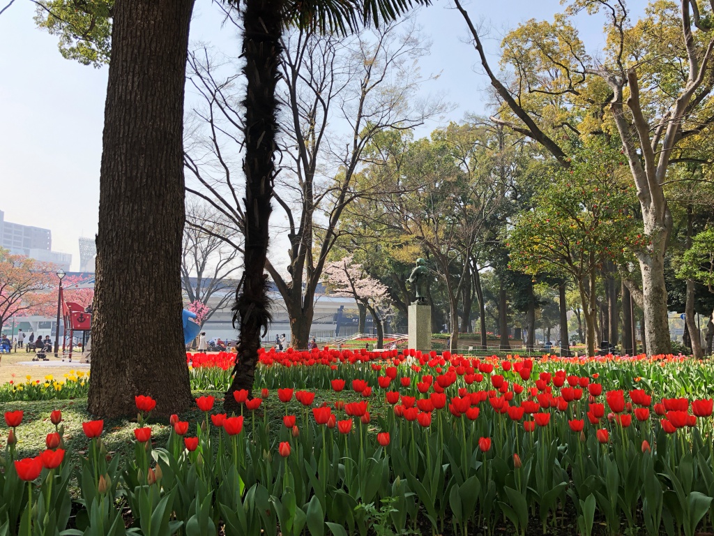 f:id:miwa3k:20180329155028j:plain