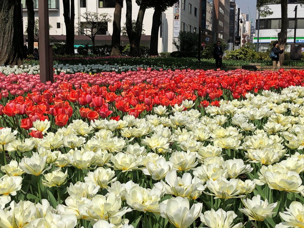 f:id:miwa3k:20180329155032j:plain