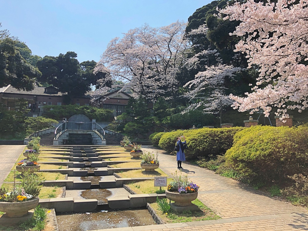 f:id:miwa3k:20180402185609j:plain f:id:miwa3k:20180402185609j:plain