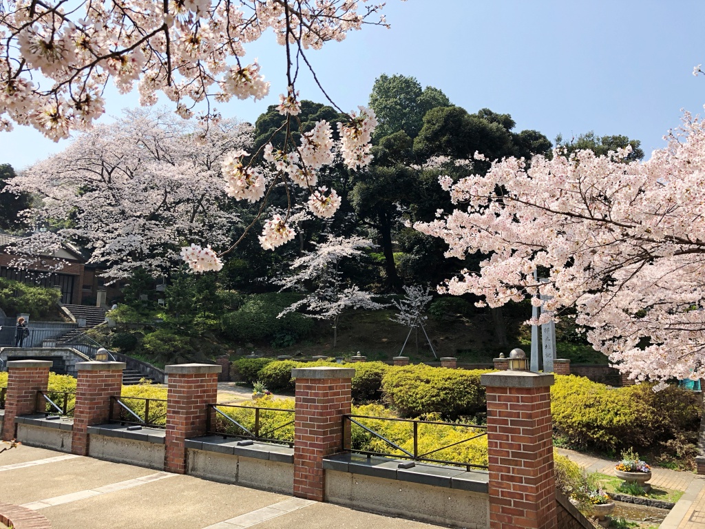 f:id:miwa3k:20180402185610j:plain f:id:miwa3k:20180402185610j:plain