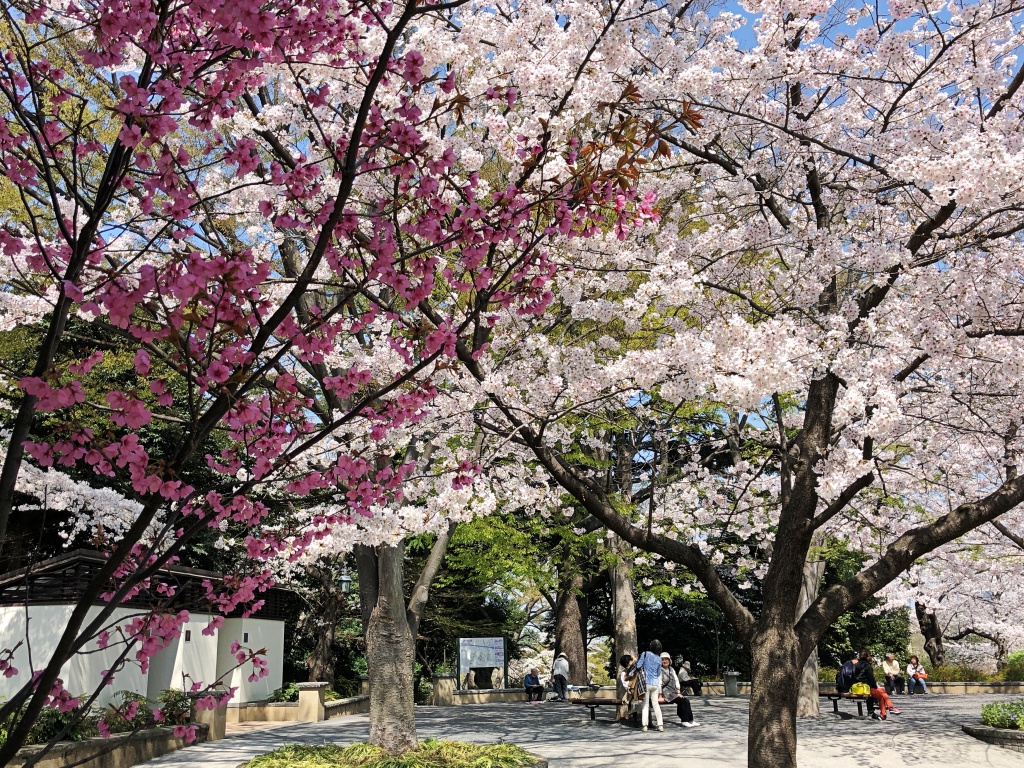 f:id:miwa3k:20180402185613j:plain f:id:miwa3k:20180402185613j:plain