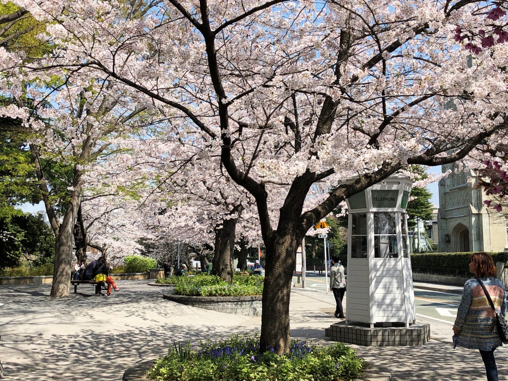 f:id:miwa3k:20180402185614j:plain f:id:miwa3k:20180402185614j:plain