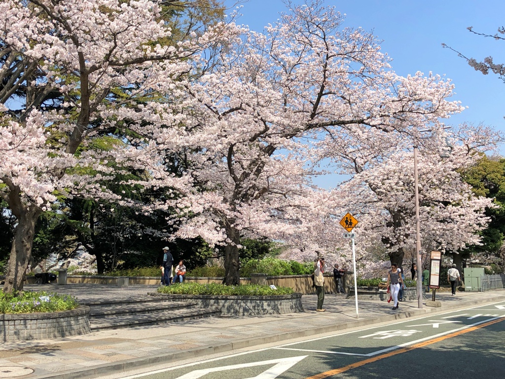 f:id:miwa3k:20180402185615j:plain f:id:miwa3k:20180402185615j:plain