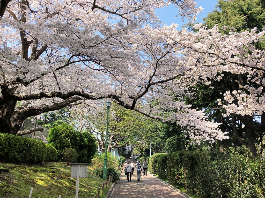 f:id:miwa3k:20180402185622j:plain f:id:miwa3k:20180402185622j:plain