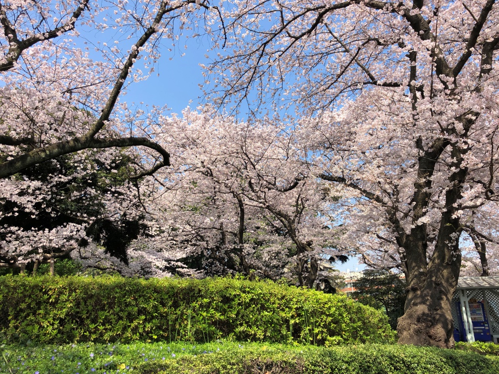 f:id:miwa3k:20180402185625j:plain f:id:miwa3k:20180402185625j:plain