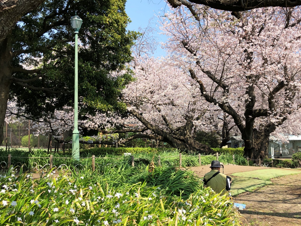 f:id:miwa3k:20180402185626j:plain f:id:miwa3k:20180402185626j:plain