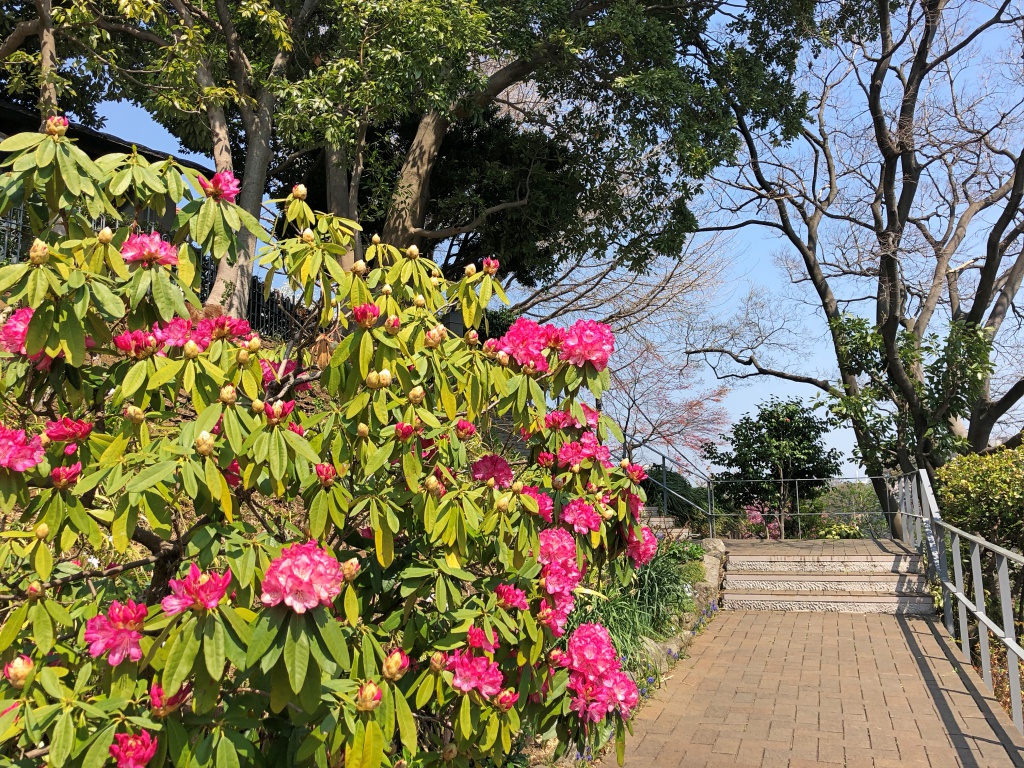 f:id:miwa3k:20180402185630j:plain f:id:miwa3k:20180402185630j:plain