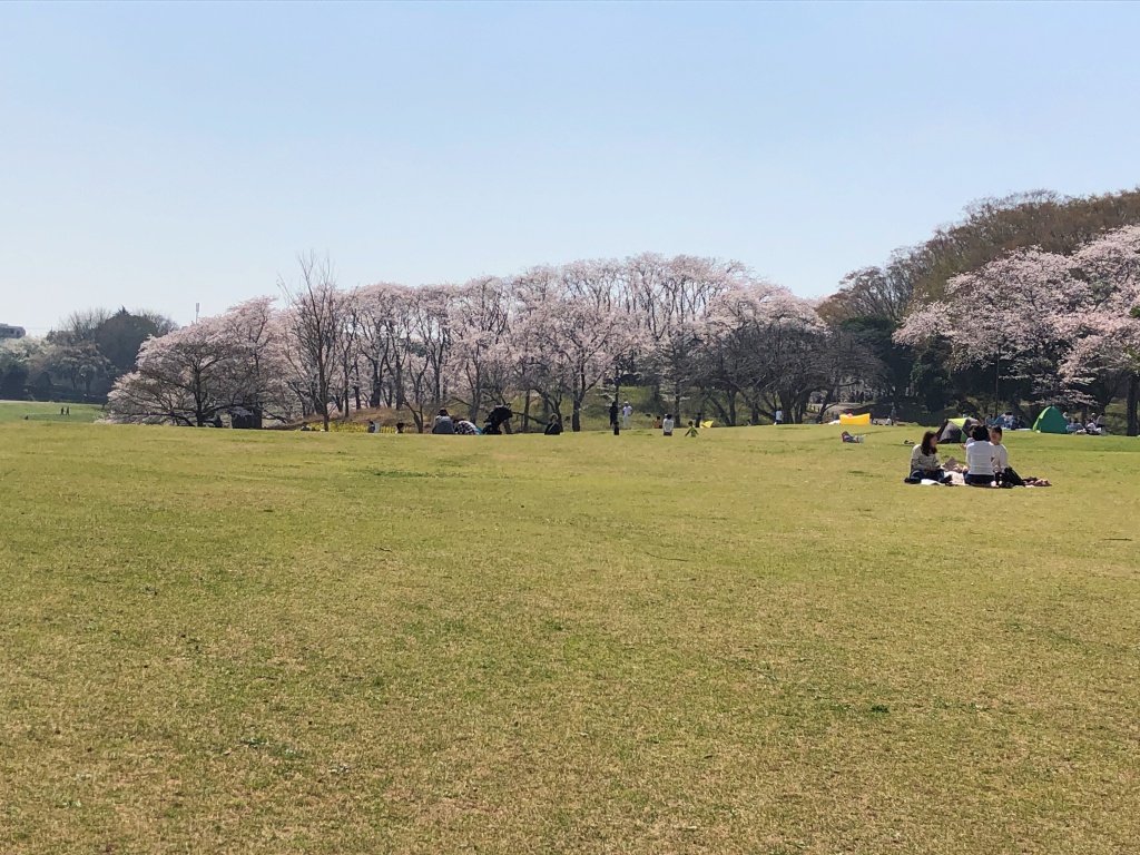 f:id:miwa3k:20180407131747j:plain f:id:miwa3k:20180407131747j:plain