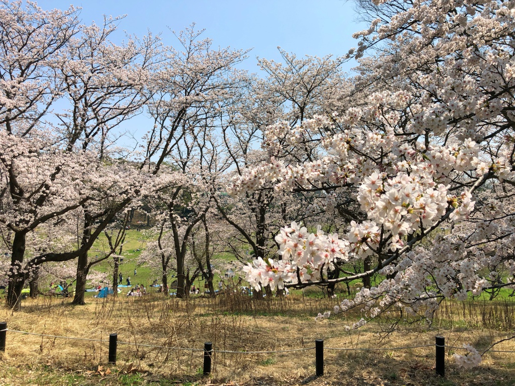 f:id:miwa3k:20180407131748j:plain f:id:miwa3k:20180407131748j:plain