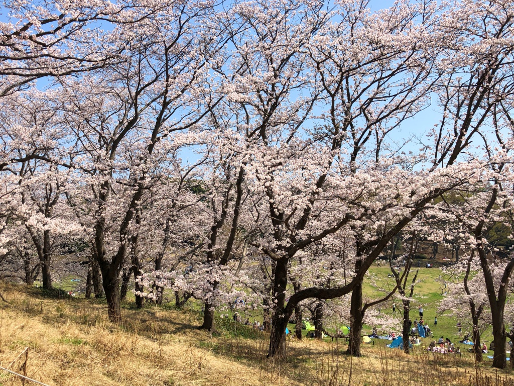 f:id:miwa3k:20180407131749j:plain f:id:miwa3k:20180407131749j:plain