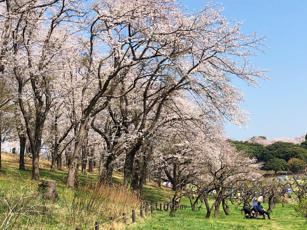 f:id:miwa3k:20180407131752j:plain f:id:miwa3k:20180407131752j:plain