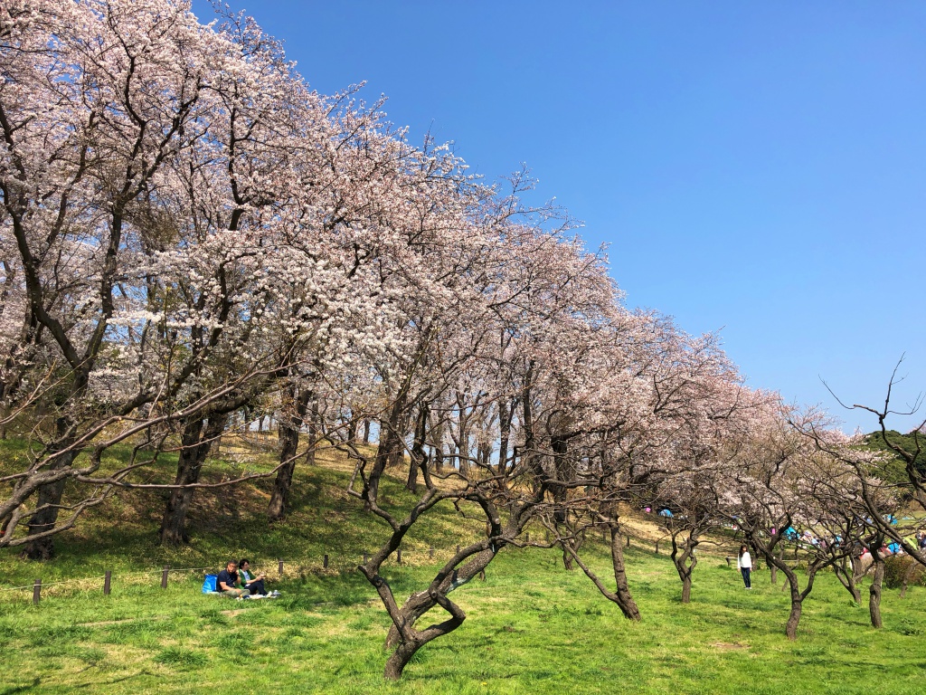 f:id:miwa3k:20180407131753j:plain f:id:miwa3k:20180407131753j:plain