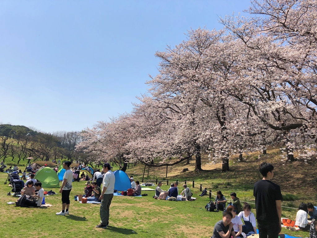 f:id:miwa3k:20180407131754j:plain f:id:miwa3k:20180407131754j:plain
