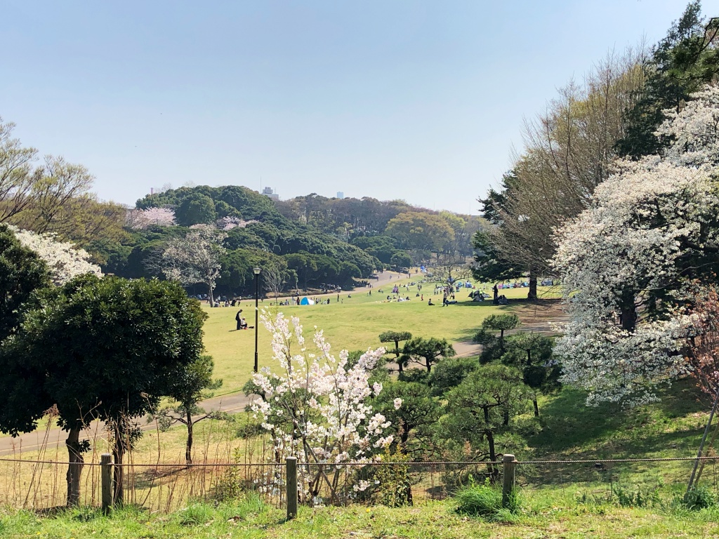 f:id:miwa3k:20180407131756j:plain f:id:miwa3k:20180407131756j:plain
