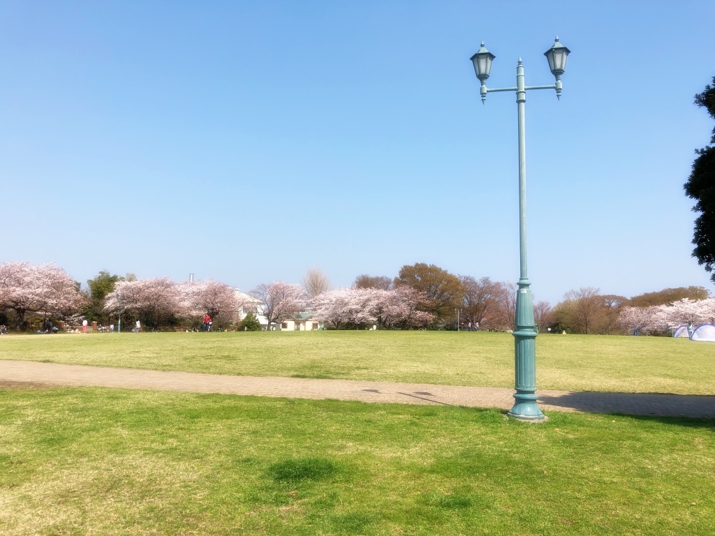 f:id:miwa3k:20180407131758j:plain f:id:miwa3k:20180407131758j:plain