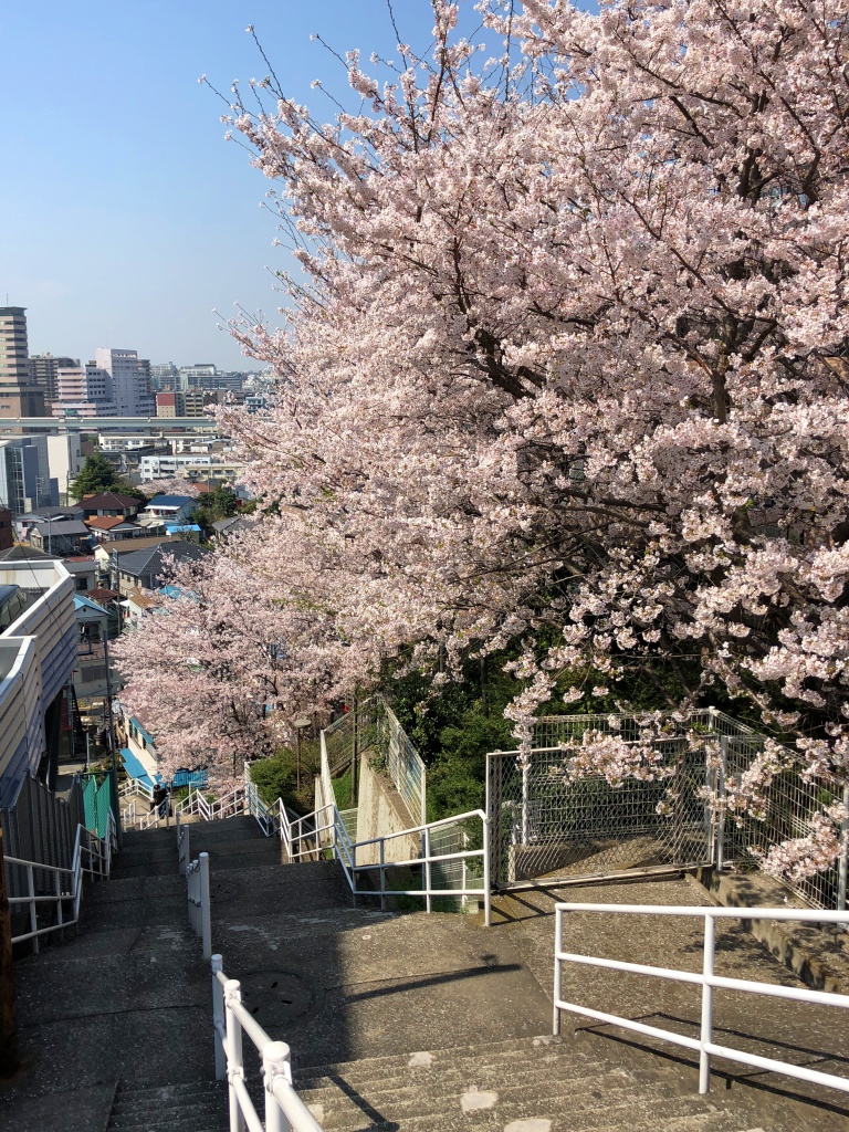 f:id:miwa3k:20180407131805j:plain f:id:miwa3k:20180407131805j:plain