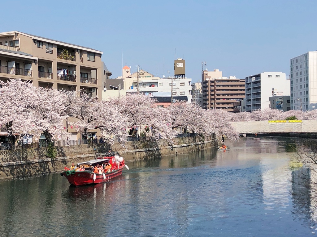 f:id:miwa3k:20180407131806j:plain f:id:miwa3k:20180407131806j:plain