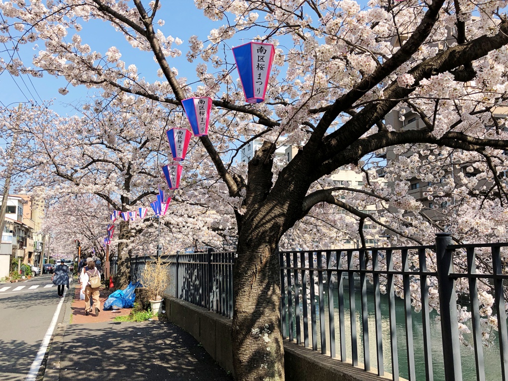f:id:miwa3k:20180407131807j:plain f:id:miwa3k:20180407131807j:plain