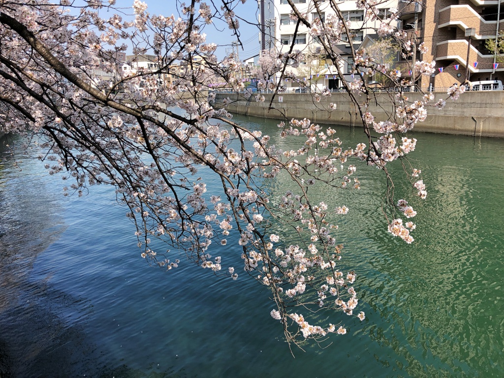 f:id:miwa3k:20180407131808j:plain f:id:miwa3k:20180407131808j:plain