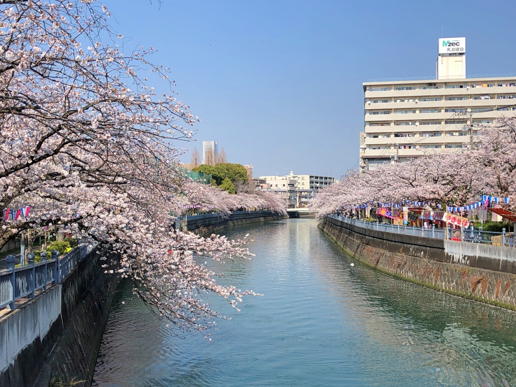 f:id:miwa3k:20180407131809j:plain f:id:miwa3k:20180407131809j:plain