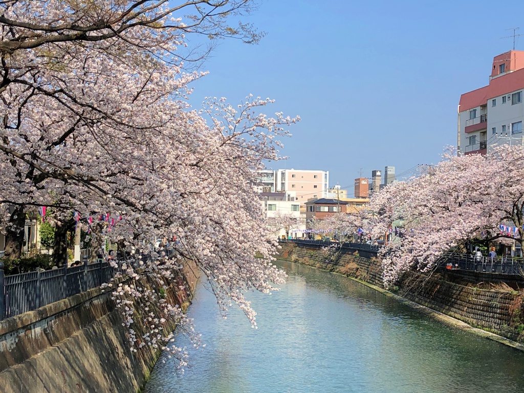 f:id:miwa3k:20180407131811j:plain f:id:miwa3k:20180407131811j:plain